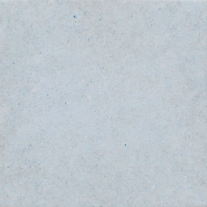 Standard Color TS 110